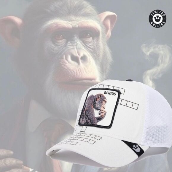 Goorin Bros Other - Goorin Bros -“Genius” Limited Circulation‎ Smarty Pants White Nwt